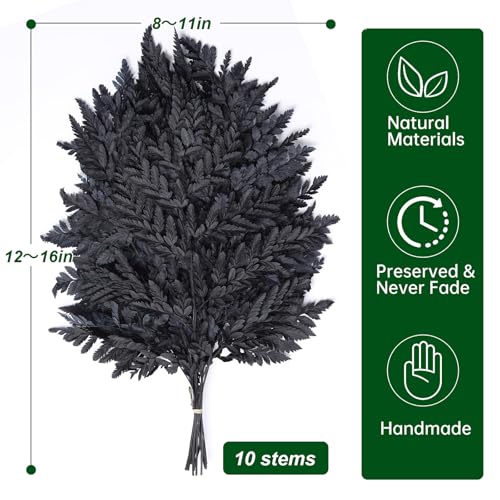Fern Preserved Black Ferns, 10 PCS Dried Boston Fern with Stems, 15'' Real Leaves for Dried Flowers Arrangements Wedding Garland Bouquets Home Party Centerpiece Table Decorations Vase Filler
