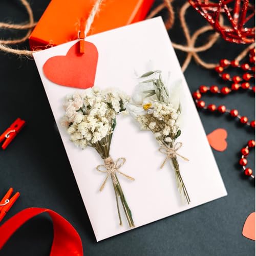 12/24 Pack Dried Flowers for Vase Various Mini Bouquet Dried Small Wildflowers Natural Real Flowers Bulk for Crafts DIY Wedding Decor (12, Plain Colour) - size: Plain Colour