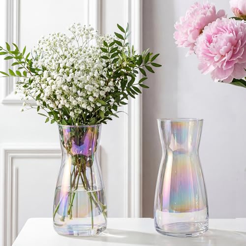 8 inch Flower Vase,Set of 2 Glass Vases for Flowers,Clear Glass Flower Vase for Centerpieces Table,Flower Bouquet Decoration,Wedding Decor Gift,Birthday,Living Room,Dining Table,Colorful - color: Iridescent