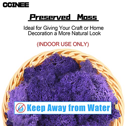 CCINEE Moss Preserved, 4 OZ Fake Reindeer Moss for Potted Plants for Craft Arts Floral Wall Decor Wedding Centerpieces Fairy Garden Artificial Terrariums Decoration for Christmas(Purple) - color: Purple