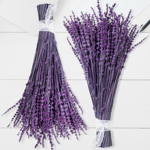 350 Stems 2 Bundles Dried Purple Lavender Flowers, 4.23oz(120g) Preserved Flowers Bouquet, 16'' Purple Lavender Stems for Wedding Home Fragrance Vase Crafts Decor - color: Purple