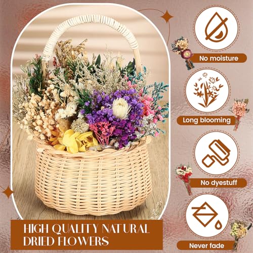 Layhit 24 Pcs Boho Dried Flower Bouquet Mini Wedding Handmade Dry Flowers Decor for Vase Crafts DIY Photo Boutonniere for Men Floral Plant for Bridesmaid Gift Birthday Decor(Colorful) - style: Colorful