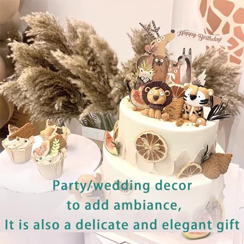 20 Stems 28" Large Brown Pampas Grass - Natural Fluffy Pompas Grass Bulk for Floor Vase - Boho Decor Home Wedding Event Decor, Gift - size: 20pcs brown