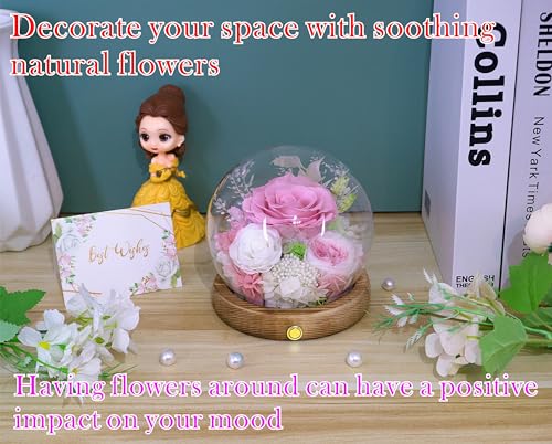 Valley of Rain & Forest Long-Lasting Real Flowers, Unique Floral Gift For you to send Love for All Occasions, for Indoor Decoration (Pink Rose & White Roses Arrangement) - color: Pink Rose, White Rose