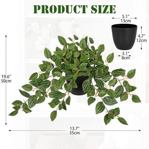 Briful Artificial Potted Plant Indoor, 19.6" Faux Watermelon Peperomia Trailing Plant in Black Pot, Realistic Fake Plants with Cascading Green Leaves for Shelf Bathroom Office Desk Kitchen Home Decor - color: Green Black Pot