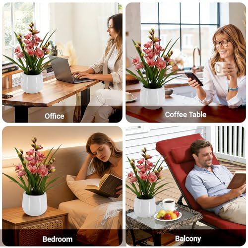 Fake Orchid Plant 19" Tall, Realistic Touch Leaves, Potted Cymbidium Artificial Plants Indoor for Home Decor Small Office Home Living Room-Pink - size: 19 Inch Cymbidium Orchid Pink
