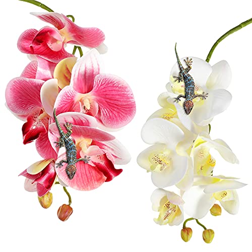 Chuangdi 2 Pieces Artificial Phalaenopsis with Suction Cups Terrarium Plant Decoration Reptile Habitat Plant Decor for Hermit Crab Lizards Geckos Snake Reptile (Dark Pink, White Yellow) - color: Dark Pink, White Yellow, style: Gradient