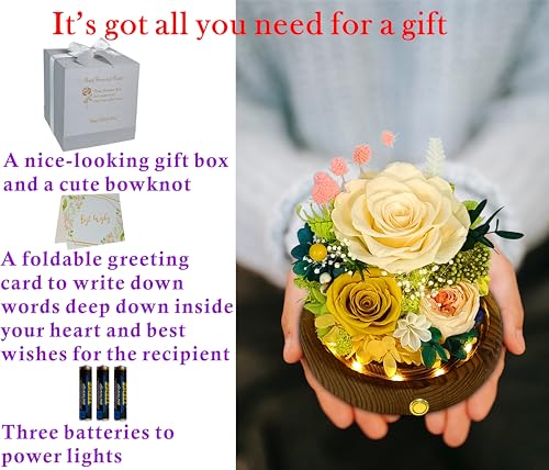Valley of Rain & Forest Long-Lasting Real Flowers, Unique Floral Gift for You to Send Love for All Occasions, for Indoor Decoration (Champagne & Yellow Roses Arrangement) - color: Champagne Rose, Yellow Rose, Yellow Austin Rose