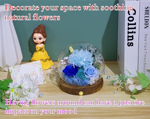 Valley of Rain & Forest Long-Lasting Real Flowers, Unique Floral Gift For You to Send Love for All Occasions, for Indoor Decoration (Light Blue Carnation, Blue Rose, Light Blue Rose) - color: Light Blue Carnation, Blue Rose, Light Blue Rose