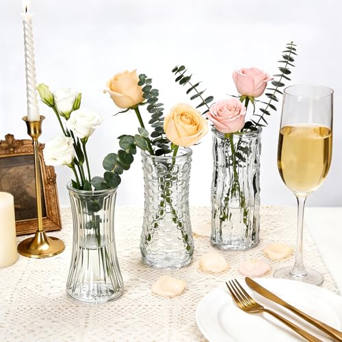 24 Pack Mini Glass Bud Vases, Small Clear Flower Vases Bulk for Wedding Centerpieces, Rustic Modern Table Decor Vases for Home, Hotel, Restaurant, Birthday Party, Beautiful Gift Set