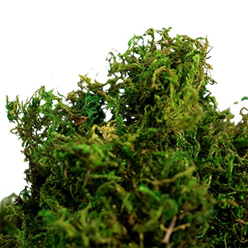 Artificial Moss Fake Green Grass for Centerpieces Home Kitchen Garden Decor (8OZ, Fresh) - color: 8oz, Fresh