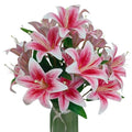 Artificial Lilies Flowers,10Pcs Faux Lily Flower,20''Tiger Lily Branch with 2 Full Blooms, Faux Fake Lilies Plants for Wedding Bouquet Home Party Indoor Floral Arrangements (10, hot Pink) - color: Hot Pink