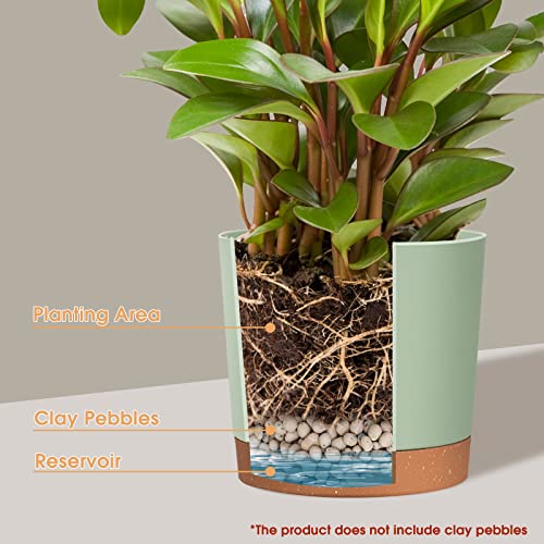 kubvici Plant Pots for Indoor Plants, 2 Pack 10 Inch Plant Pot Plastic Flower Pots Planters with Drainage Saucer for Indoor Outdoor Garden Home (10" Green & White) - color: Green & White, size: 10 inch