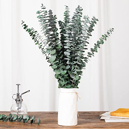 10 Pcs Dried Eucalyptus Stems for Shower, 17'' Natural Real Preserved Eucalyptus Leaves Branches Hanging, Fresh Eucalyptus Plant Bundle for Home SPA Bathroom Wedding Wall Vase Decor, Bath Essentials - size: 10PCS
