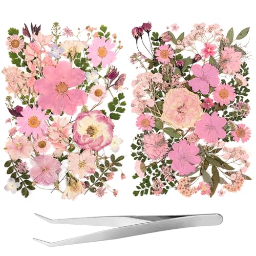 80pcs Pink Pressed Flowers Bulk, Romantic Dried Flower Leaves, Natural Pressed Dried Flowers with Tweezer for DIY Crafts Resin Mold Candles Cake Bridal Scrapbooking Supplies - size: Pink 80pcs