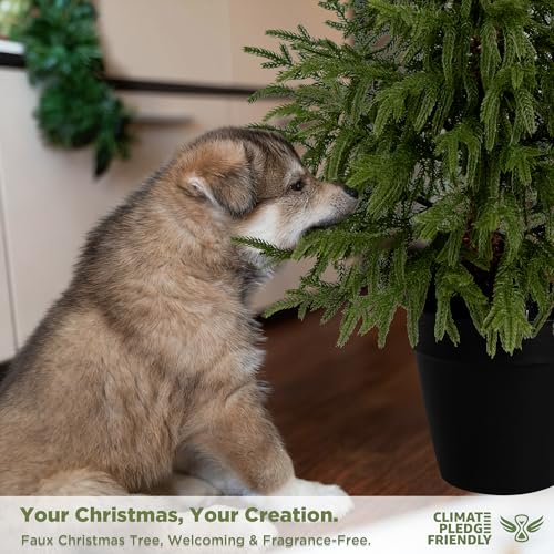 4FT Artificial Cedar Trees 2-Pack, Real Touch Faux Cedar Topiary Set in Black Pots, Indoor Outdoor Fake Evergreen Plants for Porch, Entryway, Living Room Decor - color: 2, size: 4ft