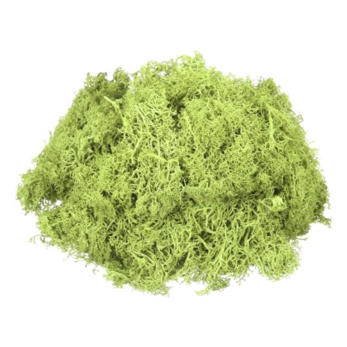 MECCANIXITY 4.6oz Preserved Reindeer Moss, Bright Green Decorative Artificial Fake Moss for Potted Plants Indoor Crafts Lichen Centerpieces Decor - color: Bright Green, size: 4.6oz