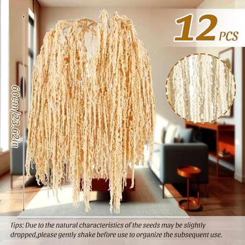 Suncalla 12 Pcs Champagne Spring Natural Dried Amaranthus Hanging Flowers Amaranthus Artificial Flowers for Wedding Arch Bouquet Floral Garland Wall Home Decoration (23 Inch) - color: Champagne