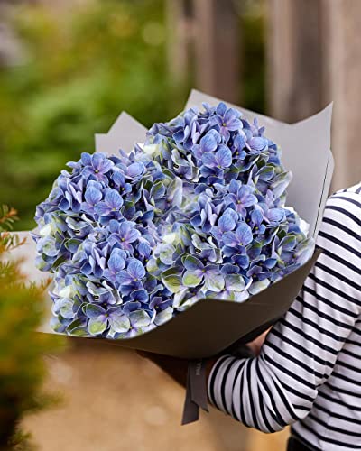 DILATATA Faux Hydrangea Large Artificial Purple Hydrangea Flowers 26" Real Touch Hydrangea Flowers Lifelike Silk Hydrangea Stems for Wedding Party Garden Home Decoration - color: Blue Green #3, size: 3PCS
