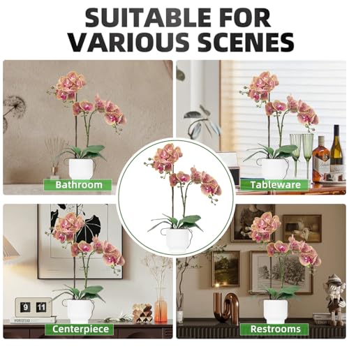 CXGS Orchids Artificial Flowers Real Touch Fake Flowers in Ceramic Pot 20" Purple Dapple Faux Orchid Plant Lifelike Silk Phalaenopsis for Centerpiece Hotel Home Indoor Decor - color: Purple Dapple- White Vase