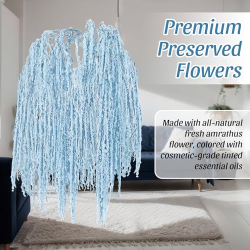 Suncalla 12 Pcs Light Blue Spring Natural Dried Amaranthus Hanging Flowers Amaranthus Artificial Flowers for Wedding Arch Bouquet Floral Garland Wall Home Decoration (23 Inch) - color: Light Blue