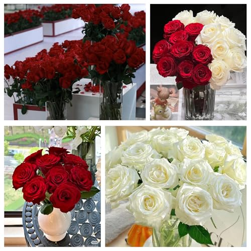 30 Pcs Wine red Roses Artificial Flowers,Artificial Roses in Bulk,DIY Wedding Bouquets,Wedding Ornaments Valentine's Day Party Decorations A Rose symbolizes Love (Wine red, 30 pcs) - color: Wine Red, size: 30 pcs