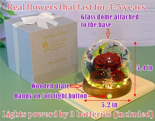 Valley of Rain & Forest Long-Lasting Real Flowers, Unique Floral Gift for You to Send Love for All Occasions, for Indoor Decoration (Dark Red Rose Arrangement) - color: Dark Red Rose