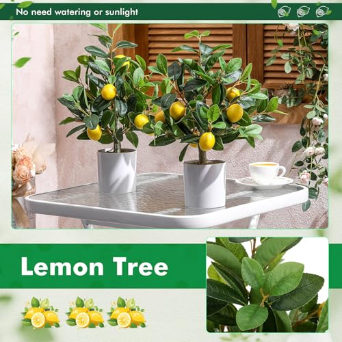 Giegxin 2 Pcs Artificial Lemon Tree 15.7 Inches Fake Artificial Potted Plants Faux Lemon Citrus Tree with Pot Faux Plants Indoor for Home Kitchen Office Living Room Table Desk (White Pot) - color: White Pot