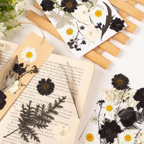 78 Pcs Black and White Dried Pressed Flowers with Tweezer, Halloween Themed Real Dried Flowers Leaves for DIY Crafts Resin Molds, Dried Flowers for Autumn Halloween Decorations - size: Black