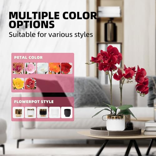 CXGS Orchids Artificial Flowers Real Touch Fake Flowers in Ceramic Pot 20" Red Faux Orchid Plant Lifelike Silk Phalaenopsis for Centerpiece Hotel Home Indoor Decor - color: Red- White Gold Vase