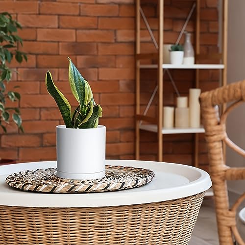 D'vine Dev 2 Pack 6 Inch Modern Plastic Plant Pots, Small Garden Planters for Plant with Drainage Holes and Saucers, White Color, 74-Z-J-1 - size: 6"