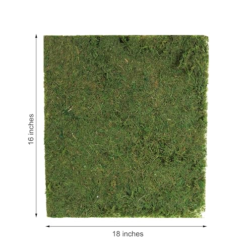 Tableclothsfactory 18" x 16" Preserved Natural Moss Roll Faux Green Living Wall Foliage Green Garden Wall Mat - color: Moss