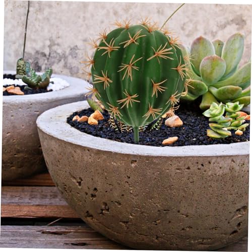 Toddmomy 3pcs Faux Cactus Figurine Realistic Landscape Decor for Home Office Bonsai for Cozy Ambiance and Unique Adornment Simulated Plant Decoration