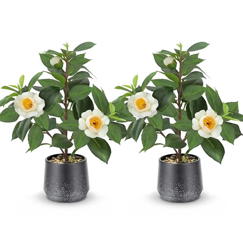 Gresorth 12" Artificial Small Camellia Flowers Tree Potted Fake Plants Bonsai Decoration Realistic Landscape Display for Home Office Table Livingroom 2 Pack - color: A - With Flowers