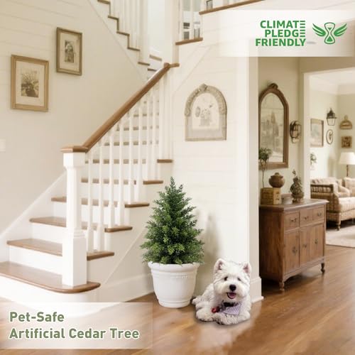 Mavis's Diary 2ft Artificial Cedar Topiary Tree, Set of 1 Realistic Faux Evergreen Shrub Plant in Planter, Indoor Outdoor Fake Cedar Tree for Front Porch, Entryway, Office & Home Decor - color: 1pack, size: 2FT