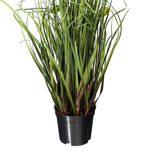 Vickerman Everyday 24" Artificial Green Grass and Eucalyptus with Black Plastic Pot - Faux Grass Plant Decor - Home Or Office Indoor Greenery Accent - Maintenance Free - size: 24"