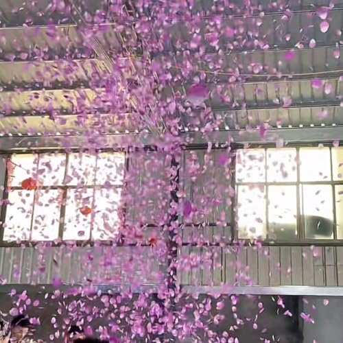 CODE FLORIST 1100 PCS Silk Rose Petals Wedding Flower Decoration (Light Purple) - color: Light Purple, size: Stacked 1100 pcs