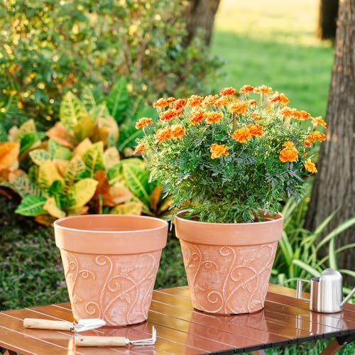Melphoe Plant Pots Indoor with Drainage & Saucer, 2Pack 10 inch Flower Pots Outdoor Planters for Indoor Plants Garden Home Decor Cactus Succulent, Rigid Plastic (Imitation-Terracotta) Vine-Embossed - color: Terracotta Color, size: 10''