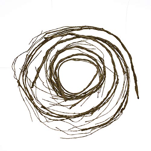 FeiLix 5PCS Artificial Curly Willow Branches, Decorative Dry Twigs, 30.7 Inches Fake Bendable Sticks Vintage Vines Stems DIY Craft Vases Artificial Flowers Garden Hotel Office Home Farmhouse Decor