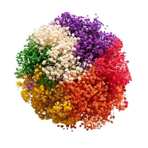 120 Pcs Mini Dried Baby Breath Flowers Gypsophila Ivory Mixed Color Flowers Dried Flowers for Vase Wedding Home Office Party Garden Card Making Decor Wreath Floral Craft DIY Art (Mixed Colors) - color: Mixed Colors