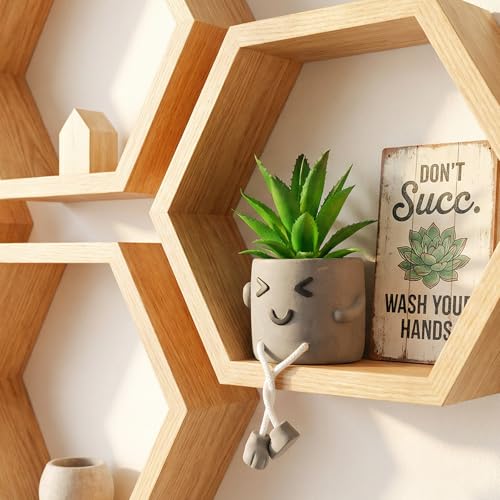 Cute Artificial Succulent Plant in Cement Pot with Hanging Legs - Kitchen Shelf, Bathroom, Office Wall Decoration, Mini Fake Succulents Decor Accents for Desk Shelf - Set of 1 - color: 1pcs-wink