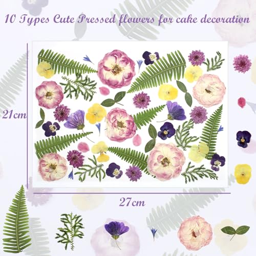 48 Pcs Mix Natural Dried Pressed Flowers for Cake Decorating, Real Dry Flower for Resin Jewelry Making, DIY Art Crafts (Lovely) - color: Lovely