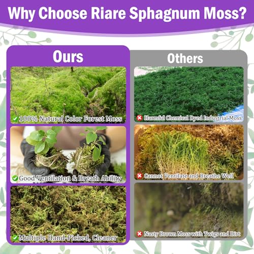 Riare 3.3LBS Premium Sphagnum Moss for Plants- 60QT Natural Dried Plant Moss for Potted Plants, Orchid Moss for Repotting, Soft Green Decorative Moss for Succulents, Reptiles & DIY Crafts - color: 60 QT(Appx.3.3lbs)