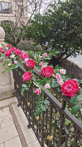 6FT Bendable Flower Garland, Artificial Rose Vine Hanging Floral Garland Decoration for Weding Home Room Wall Decor (Fuchsia, 1pcs) - color: Fushia, size: 1pcs