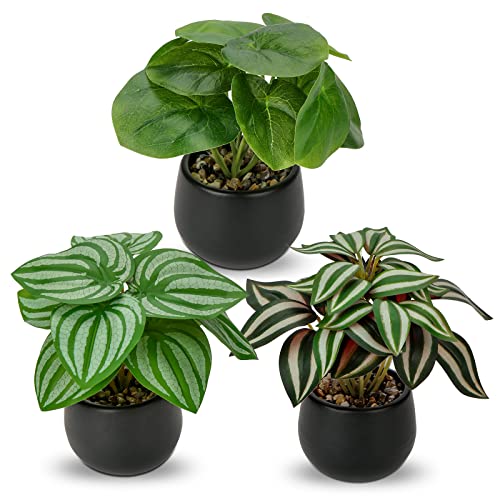 Briful 3PCS Fake Plants Potted Artificial Plants Mini Faux Plants in Black Ceramic Pots Greenery Décor for Home Office Table Room Farmhouse Indoor Decoration - color: Type#1