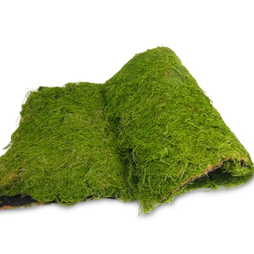 ACRYCS Fake Green Moss Roll Table Runner 39" x 39" Faux Moss for Decorating Artificial Moss for Indoor Plants Grass Wall Crafts DIY Table Centerpieces Fairy Woodland Garden Floral Wedding 100x100cm