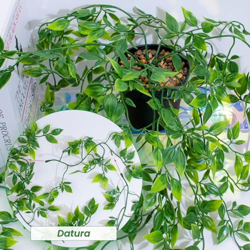 LOYWREE 2 Pack Artificial Hanging Mandala Plant with Pot Faux Plants Indoor Fake Small Potted Plant 28.7-in Long Faux Vine Shelf Decor Ideal for Indoor Outdoor Home Office Decoration (Black Pot) - color: Mandala, size: 2Pack