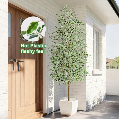 Bailikang 8FT Artificial Ficus Trees Indoor Faux Trees Indoor Fake Floor Plants Tall Artificial Tree with White Pot Faux Tree Fake Indoor Tree Silk Plants Artificial Trees for Home Decor Indoor - color: White Leaf With White Pot, size: 8ft
