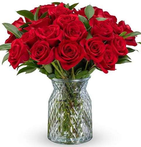 Benchmark Bouquets - Red Roses Bouquet - Fresh Flowers for Delivery - Two Dozen Long Stem Roses - Mothers Day Flowers for Mom - Mothers Day Gifts for Mom - Mothers Gifts (Glass Vase Included) - style: Deluxe