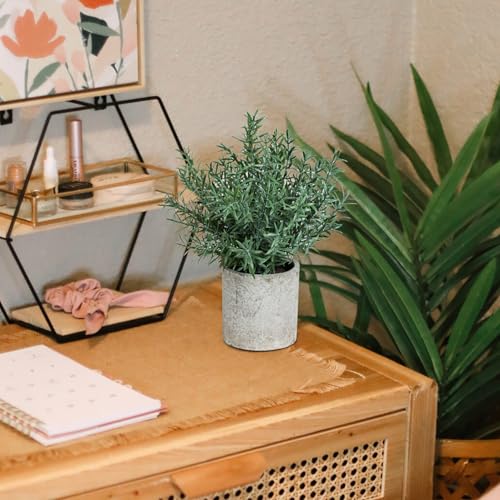 Coferset 2 Pack Small Fake Plants Rosemary Potted Artificial Plants for Shelf Desk Home Bathroom Farmhouse Room Coffee Table Decor (Green) - color: Green-small